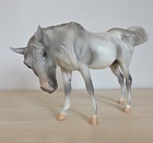Breyer Traditional Model Horse Susecion  430011    1175 Mare - Rare Dark Shading