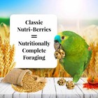 Nutri-berries Pet Bird Food  Made With Non-gmo And Human-ingredients  For Par   