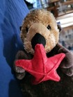 Cutest Otter Plush Stuffed Toy With Starfish By Aurora 2014 Excellent Condition 