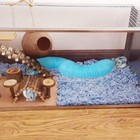 Collapsible Pet Tunnel  2 Pcs Hamster Fun Plastic Tunnels  Foldable Hideaway    