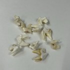 Lot Of 10 Real Coyote Molars Teeth Taxidermy Art Weird Odd Project Unqiue   3222