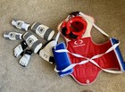 Kids yth Taekwondo Sparring Gear W bag Extremely Light Use  Super Clean F m s 