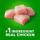 Iams Proactive Health Large Breed Dry Dog Food With Real Chicken  30 Lb