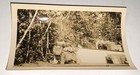 Rare Antique Vintage American Pet Kitten Animal Snapshot Photo Cute  Summer  Us 