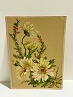 1880s Mullins Co Newark New Jersey Store Furniture Flower Floral Daisy