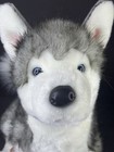 Douglas Cuddle Toys Lobo Siberian Husky 24  Stuffed Animal Plush Dog  2423