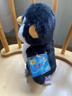 Webkinz Penguin