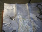 How Birds Migrate   Navigating By Nature Map March 2018 National Geographic