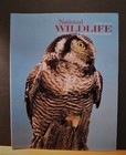 Vintage 1978 Full Year Set Of 6 National Wildlife Federation Magazines  jan-dec 