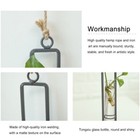 Hanging Hydroponic Plant Terrarium Transparent Hanging Glass Plants Vase Clear