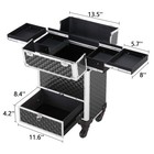 Professional Large Makeup Case Artist Rolling Professional Cosmetic Organizer