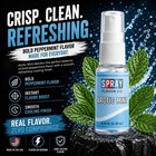 Arctic Mint Breath   Pouch Flavor Spray 10ml