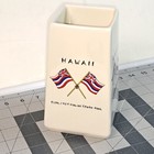 Sams Restaurant Ryukyu Islands Okinawa Japan Hawaii Flags Square Tiki Mug 6 5  