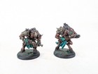 Hordes Minions Farrow Commandos Lot Set Pro Painted