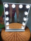 14 x12  Hollywood Makeup Vanity Mirror With Lights Stage Dimmer Led Bulb 5x Mag