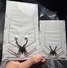 Whip Scorpion Spider  lot Of 10  Spread Insect Specimens Tarantula Arachnidae