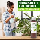 Neem Oil Premium Organic - Virgin  Cold Pressed  Unrefined 100  Pure