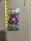 Tassie  ff1706 Mauve wine Colored Fairy Doll 4 Inches