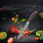 Steak Kitchen Knives Knife Set Sharp Stainless Steel Professional Chef Cutlery