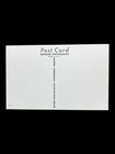 Vintage Unused Cat Postcard Post Card