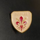 Vtg Firenze France Coat Of Arms Crest Hat Lapel Pin Travel Souvenir 