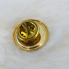 Llandudno Wales Souvenir Lapel Pin W  Coastline