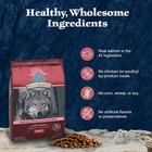 Blue Buffalo Wilderness High Protein Adult Dry Dog Food -salmon  Grain Free 28lb