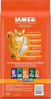 Iams Proactive Health Adult Healthy Dry Cat Food With Salmon  3 5 Lb