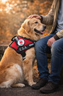 Esa Dog Vest Harness Emotional Support Animal No Pull Handle Id Pocket  10 Cards
