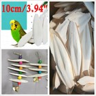 20pc Long 3 94  Cuttlebone Cuttlefish Bone Sepia Cuttle Fish Bird Food Calcium