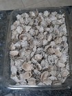 5 1 2  Lbs  Of Star Limpet Sea Shells  Beach Decor Craft Tropical Nautical