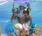 Mask Fin Snorkel Set With Adult Snorkeling Gear  Grey  Size Ml xl 9-13