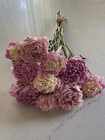Peonies   Dried Flowers Bunch Bouquet Bundle Usa Grown Blush   Pink Peony  Auc 4