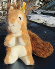 Vintage Steiff Squirrel Old Button Cute Face Toy Ricky Antique Bear Friend 9 