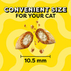 30 Oz Cat Treats Chicken Catnip Cheese Flavor Crunchy Soft Snack Tub