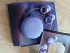 New Loop Earplugs Experience Tomorrowland Purple 2024 Limited Official Genuine