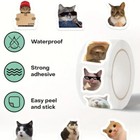 100 Mini Cute Cat Meme Stickers - Kitty Decals Phone Water Bottles Laptops