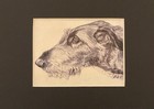 Irish Wolfhound Matted   Framed   Ready To Gift - 1986 Vintage Dog Art Print W