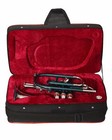 Cornet Green Nickel Bb Flat  Nickel Expert s Choice  Hard Case  Mouthpiece