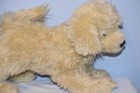 Fao Schwarz Golden Retriever Dog Plush Cream Puppy Stuffed Animal Toy