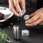2-pack Mini Salt Pepper Shaker 5ml Salt And Pepper Shaker With Lid stainless Ste