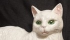 Vintage 1960s White Ceramic Cat Green Eyes- 8 X 5 Inches Signed Clyde Cute