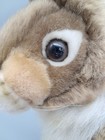 2001 Realistic Hansa Jack Rabbit Plush Stuffed Animal Semi-poseable Bunny Toy
