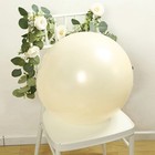 10 Cream 18  Biodegradable Latex Matte Pastel Balloons Party Wedding Decorations