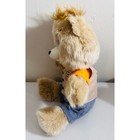 Working Teddy Ruxpin Bluetooth Storytelling Bear Animated Eyes Tested 2017 Toy