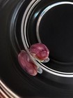 Magenta Mystery Snails 2 Month Old   Snailfuel Combo Free Shipping