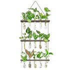 Wall Hanging Propagation Station With Wooden Stand 5 Glass 15 Tube Vases Brown