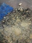 2 Oz Grindal Worm Starter Culture Live Fish Food For Betta Fry Killifish   More