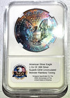 American Silver Eagle 2015   1 Oz  999  Monster Rainbow Toning Gem Uncirculated