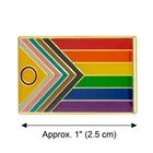 Intersex Progress Pride Flag Pin 1  Rainbow Gay Lesbian Trans Equality Lgbtq New
